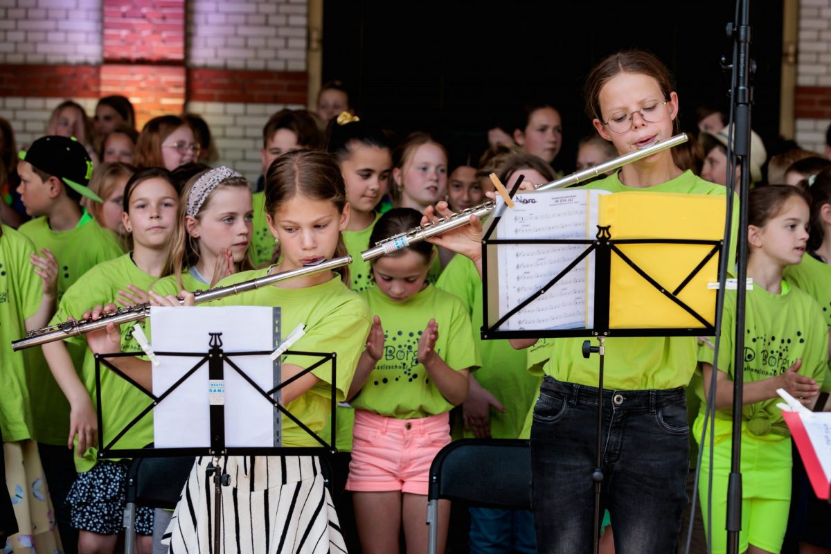 Scholing Doe Meer Met je Muzikaliteit